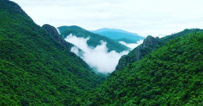 Snowfall in Odisha - Daringbadi