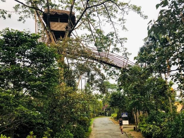 Asia's Cleanest Village - Mawlynnong