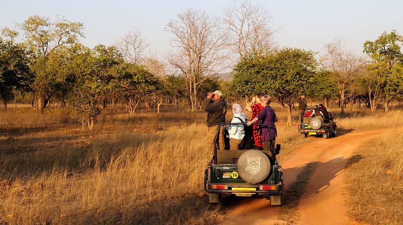 Panna National Park