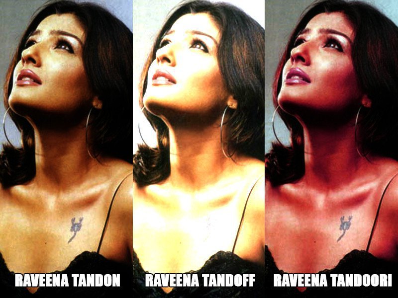 Raveena Tandon Meme