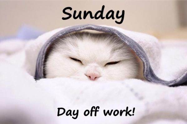 Sunday is a holiday