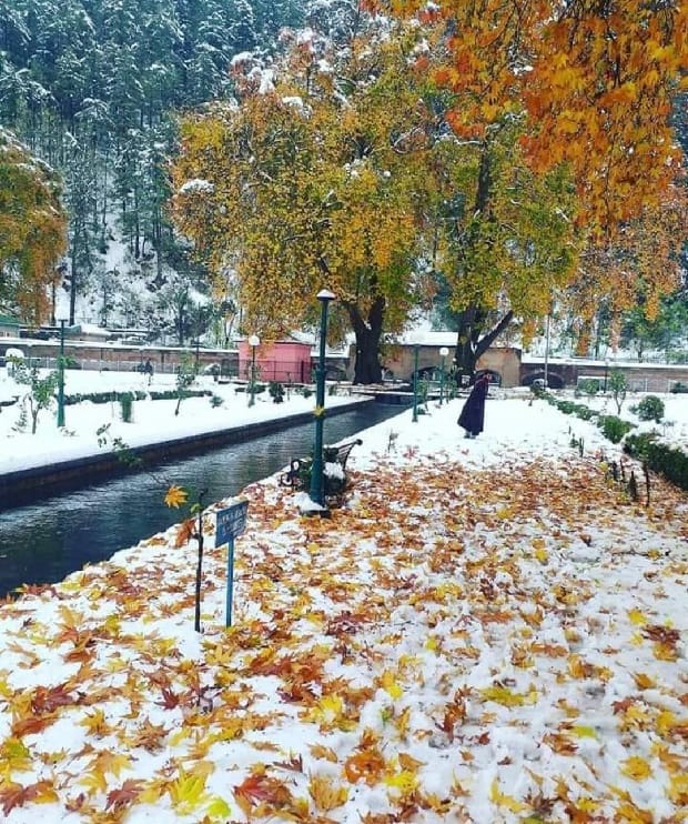 Mughal Garden in Kashmir-Verinag
