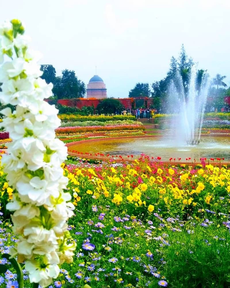 Mughal Gardens-Rashtrapati Bhawan