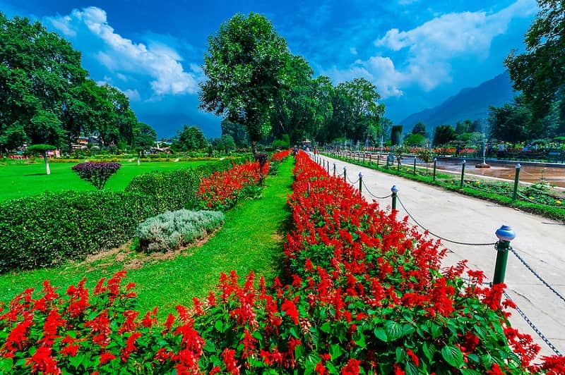 mughal garden in kashmir -shalimar bagh