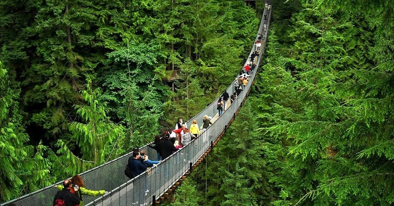 Capilano Suspension Bridge-vancouver