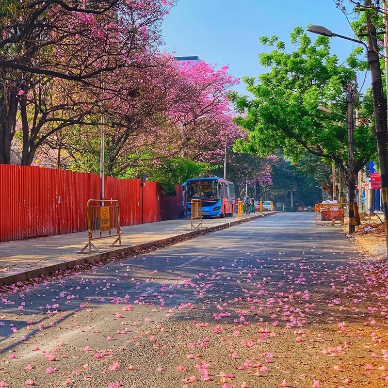 Jayanagar 4 Block