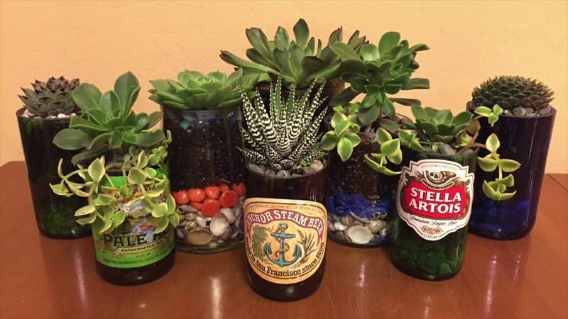 Alcohol bottle DIY - as Planters