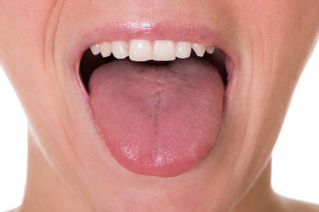 different taste zones in our tongue