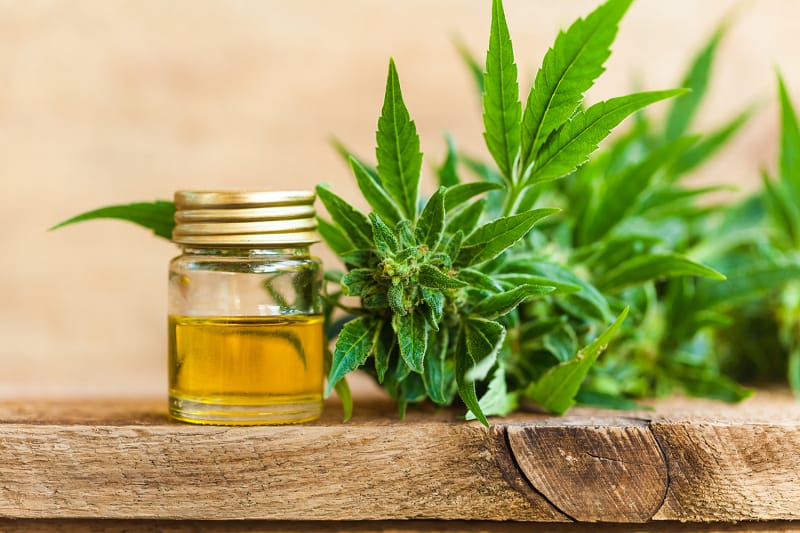 Wholesale CBD Products