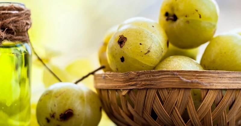 Benefits of Amla