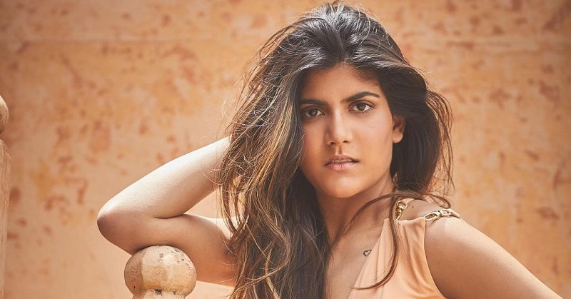 Ananya Birla musician