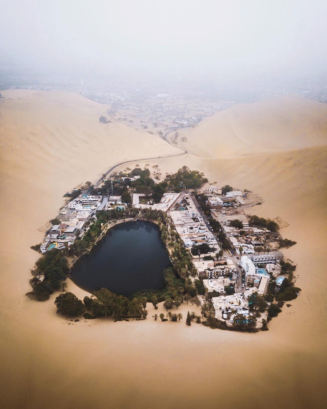 oasis in the midst of a desert