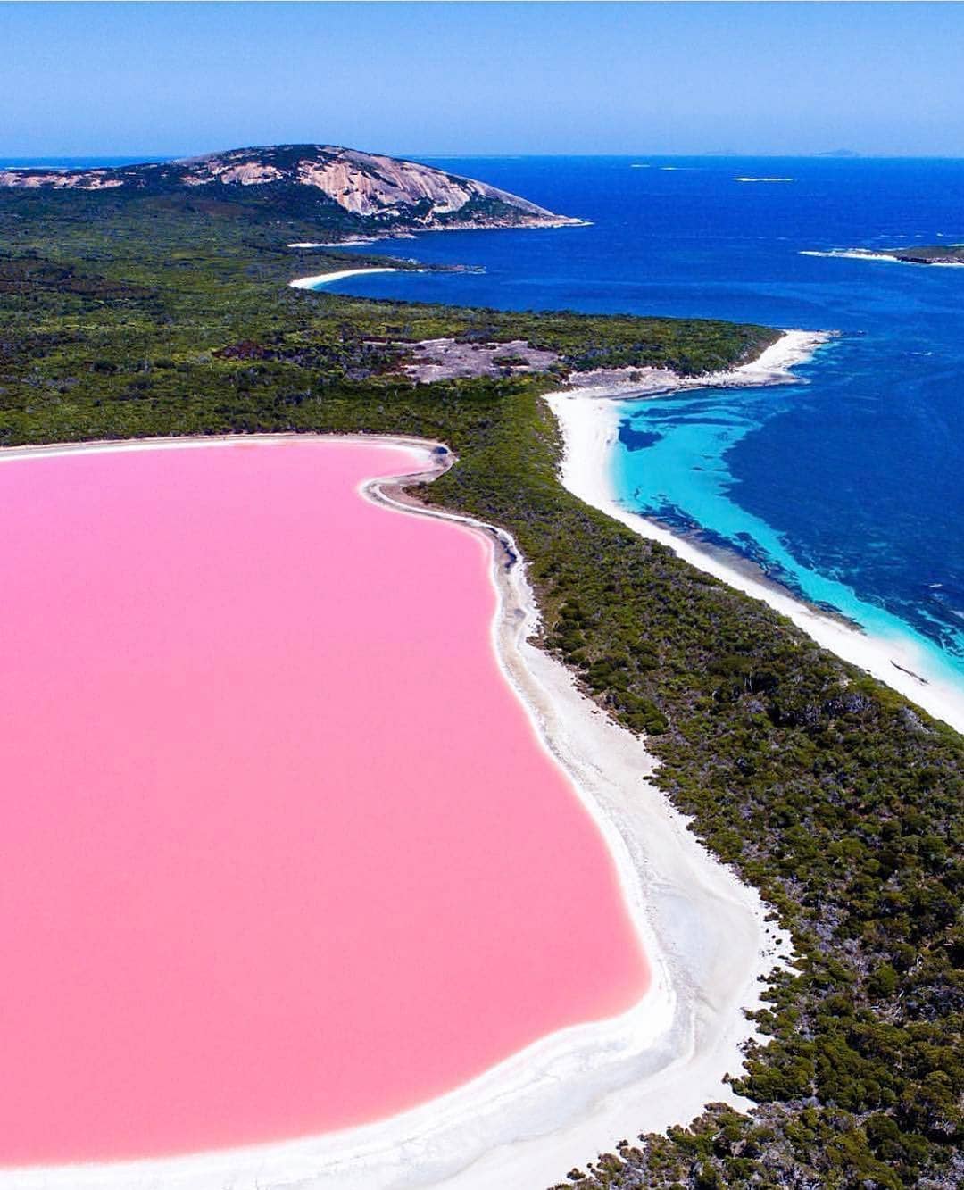 coast of Western Australia is pink