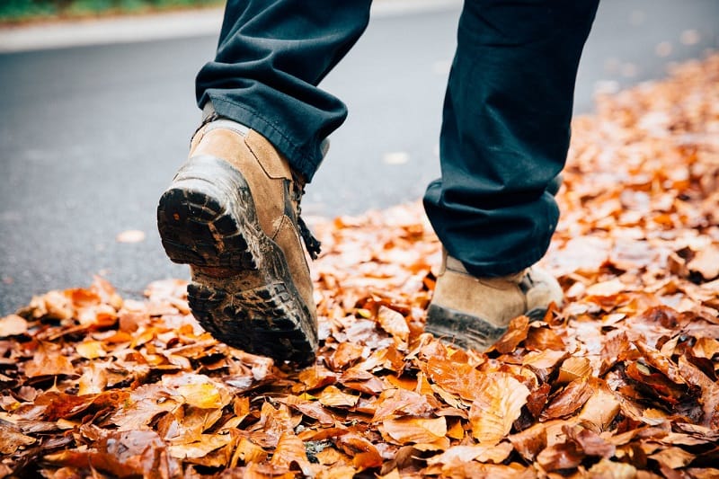 walking on dry leaves