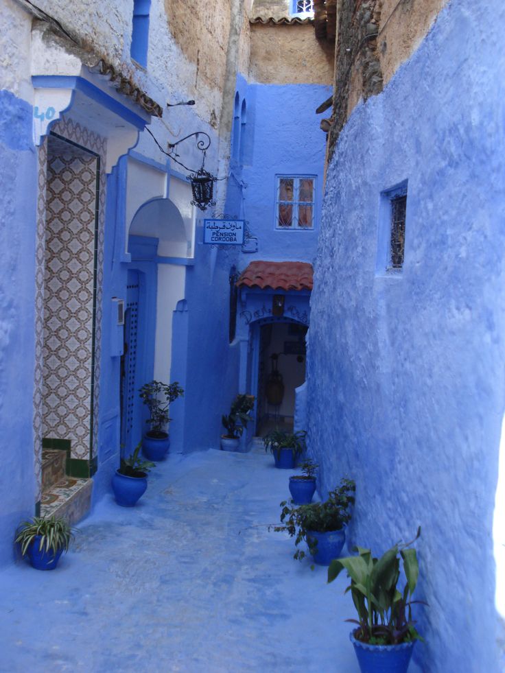 Reason why jodhpur is house are painted blue