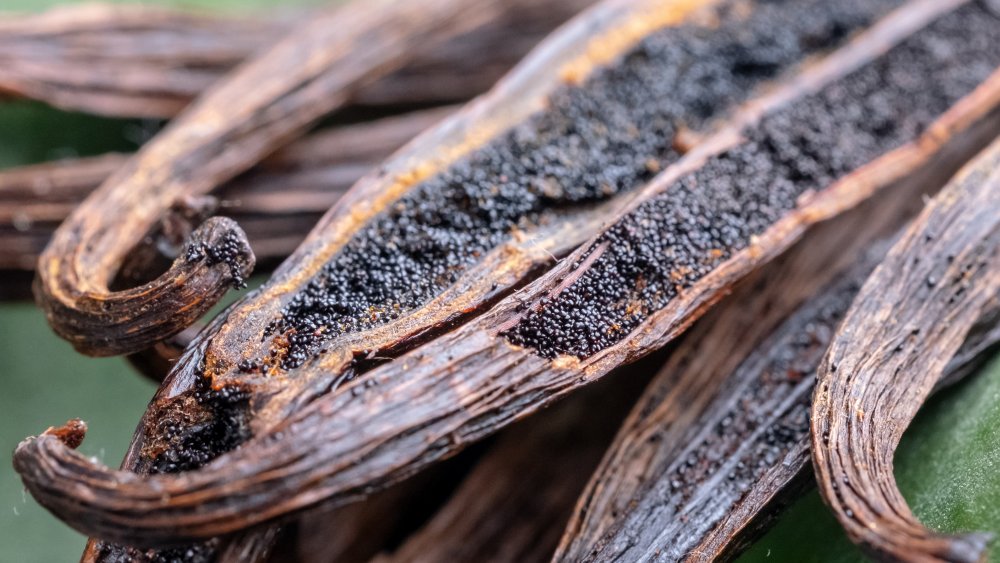 Where does Vanilla Extract come from