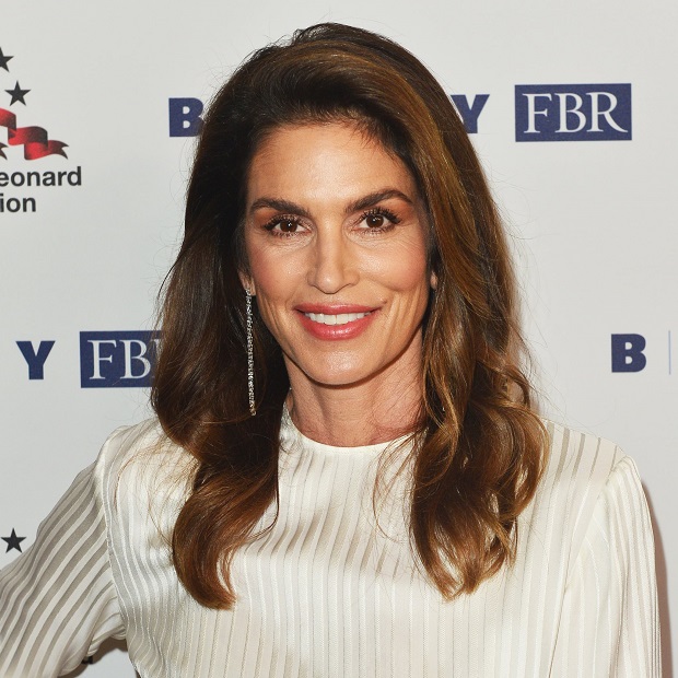 Cindy Crawford - Successful Engineers In Non-Engineering Jobs