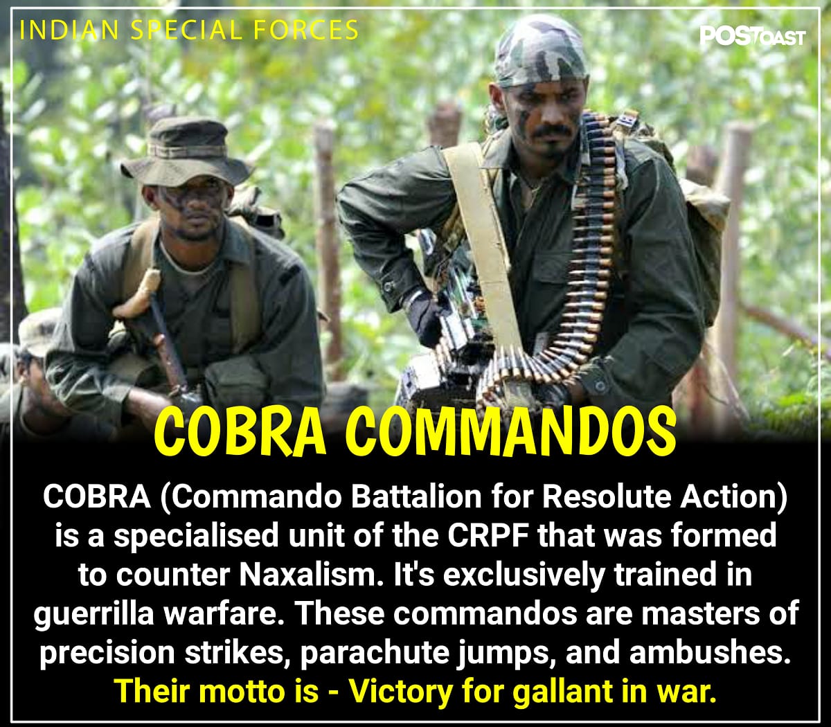 COBRA (Commando Battalion for Resolute Action)