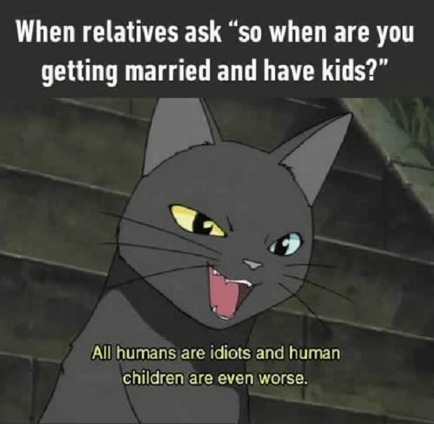 relative ask why dont have kids meme