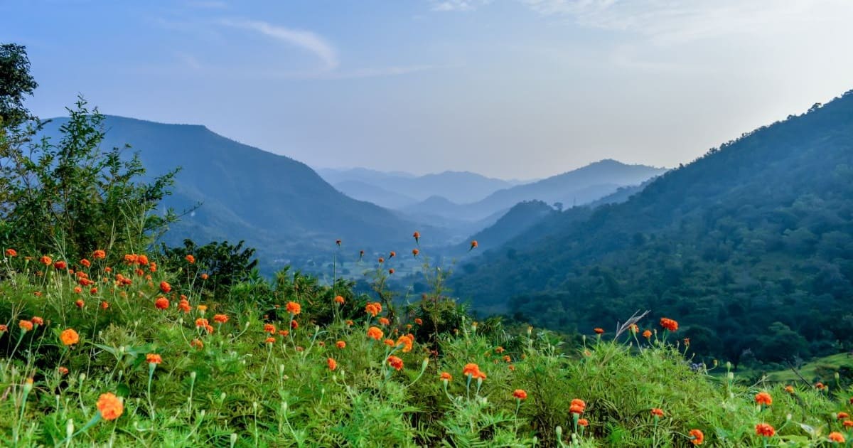 Araku Valley