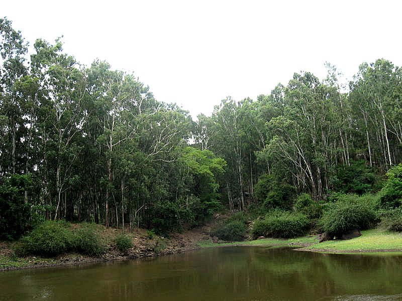 Gangotri-Lake-in-Madanapalle