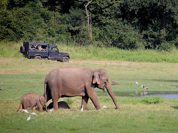 Kaundinya Wildlife Sanctuary