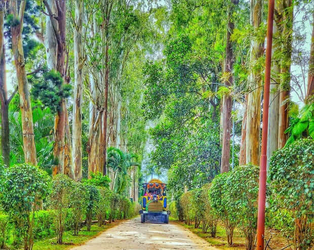 Padmapuram Botanical Garden 