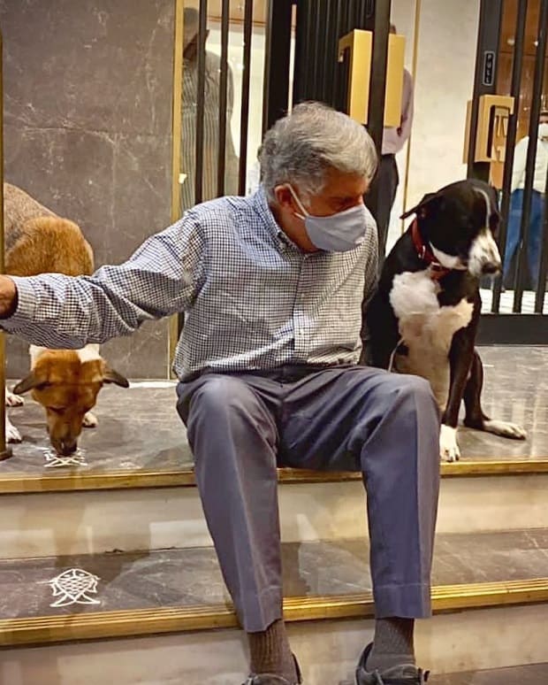 Ratan Tata with dogs