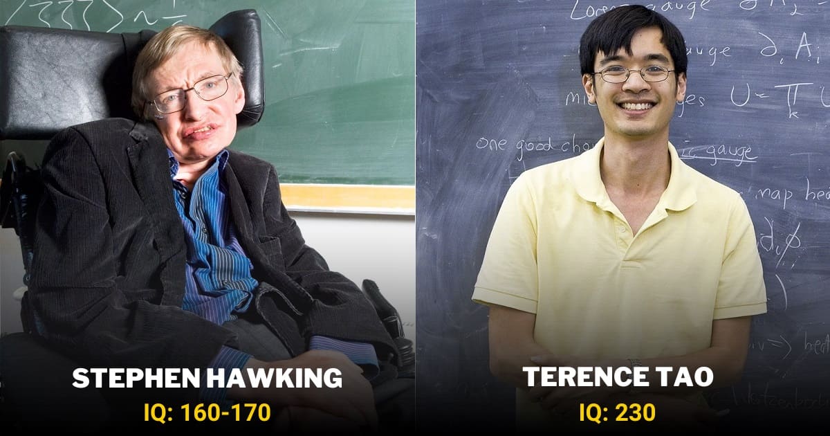 strubehoved Transplant oase 27 Smartest People In The World With Highest IQ