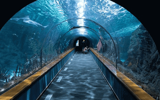 tunnel aquarium cubbon park