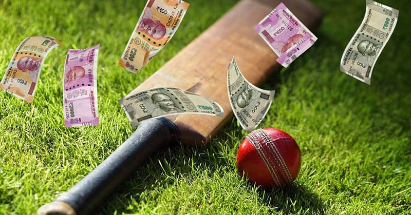 cricket betting