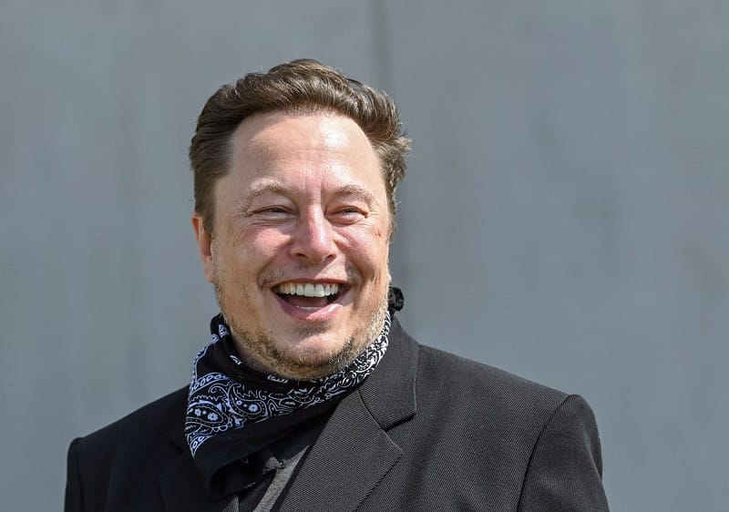 Elon Musk earnings