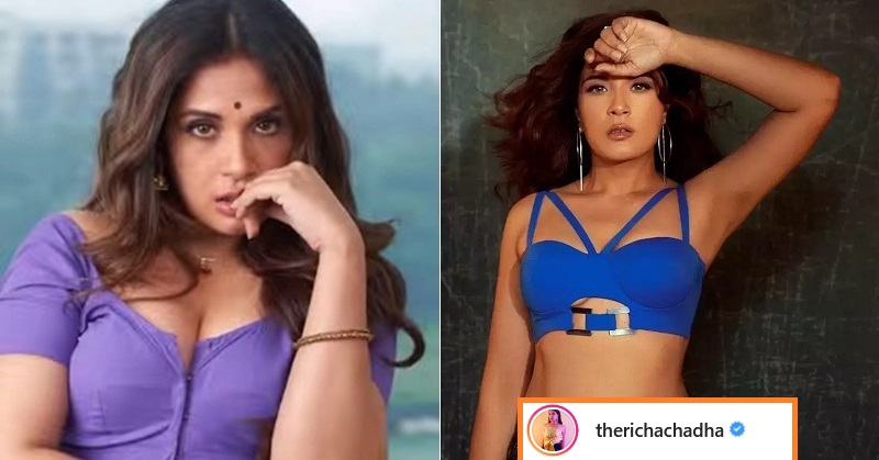 Richa Chadha Tries To Cover Her Tummy With Saree 'Pallu', Netizens