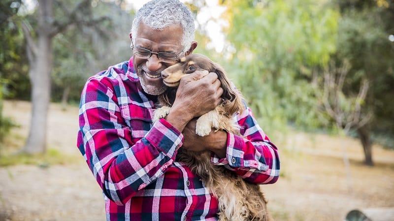 half of people over 50 own a pet