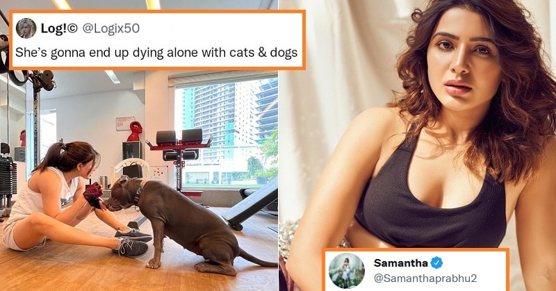 Samantha Prabhu reply troll cat dog