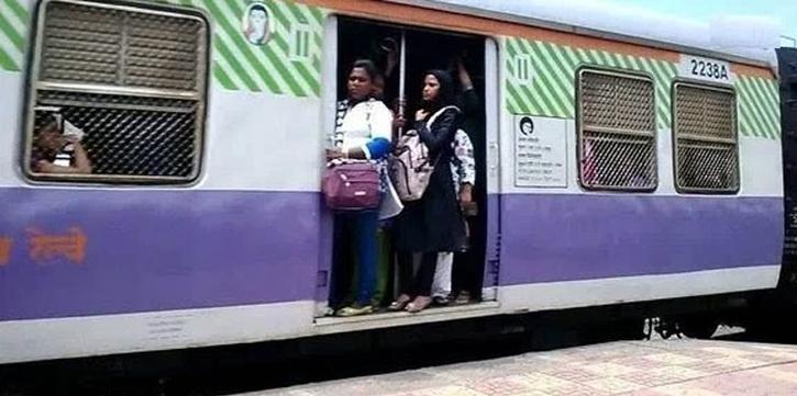 Grey coaches with green stripes