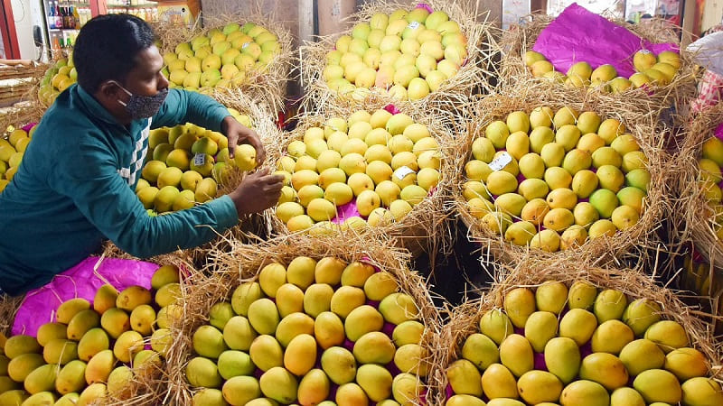 mangoes in market