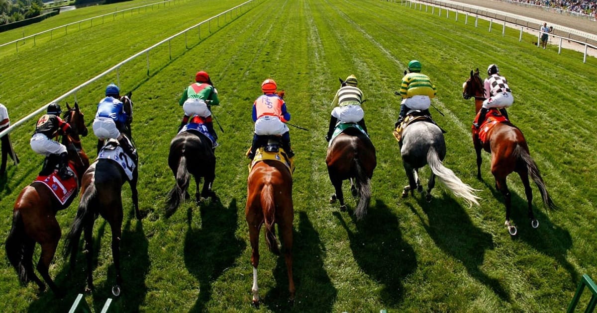 horse racing betting analyst