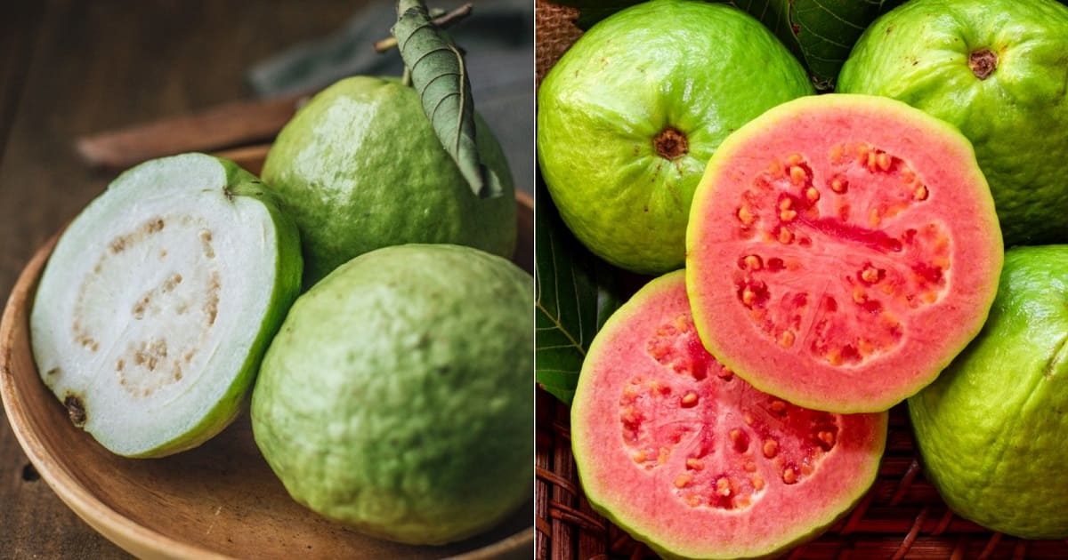 White Vs Pink Guava