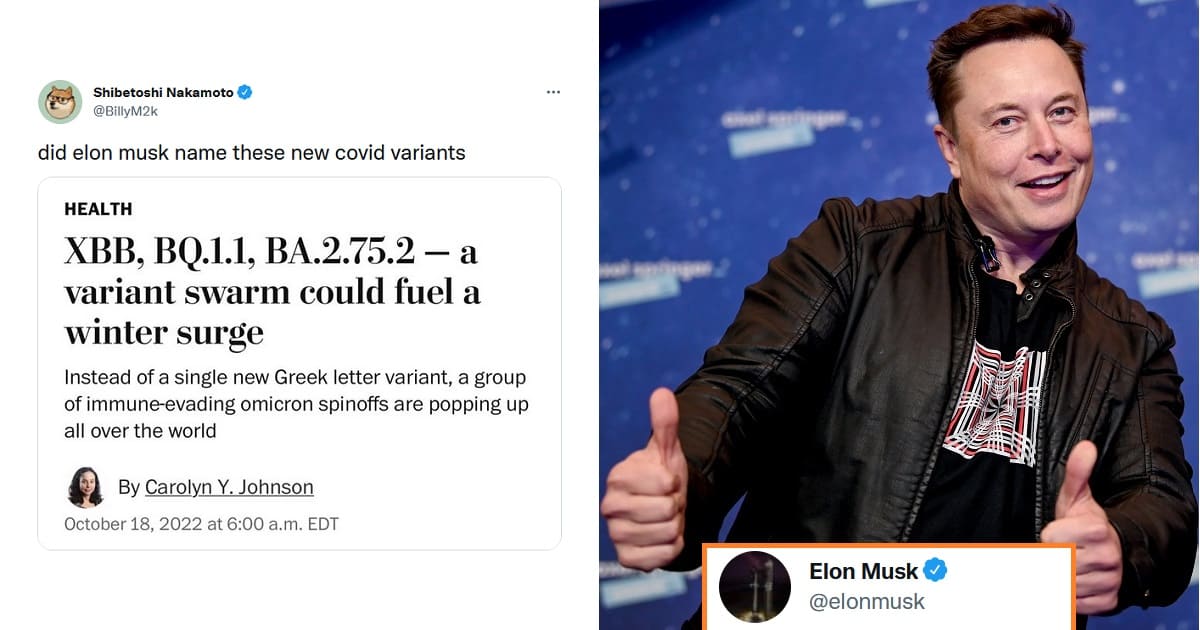 Elon Musk Dogecoin Creator
