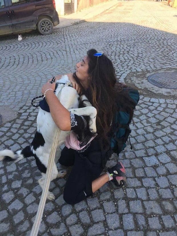 dog reunited with parents