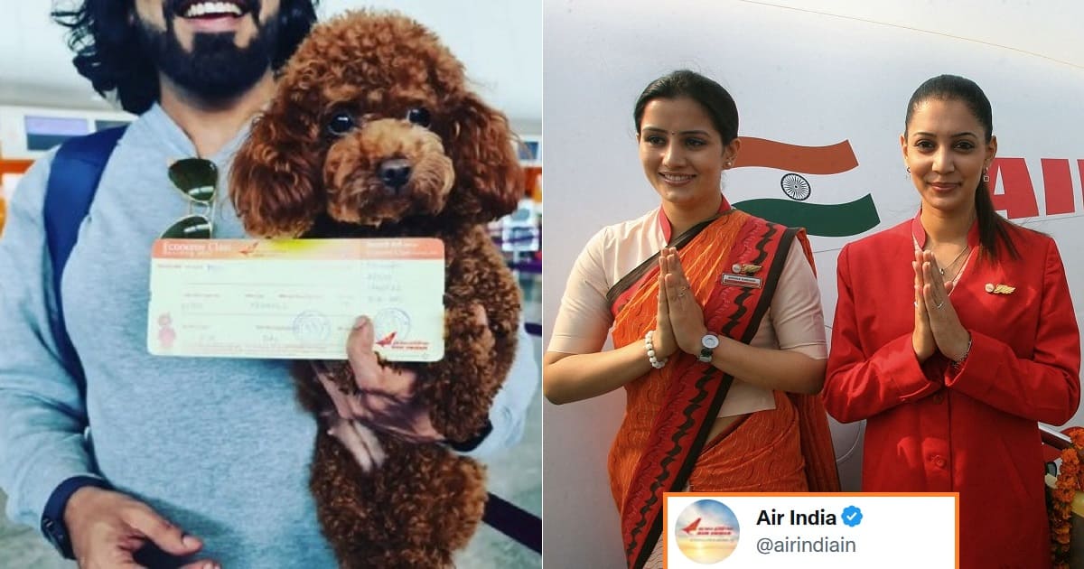 Air India Pet Dog On Flight