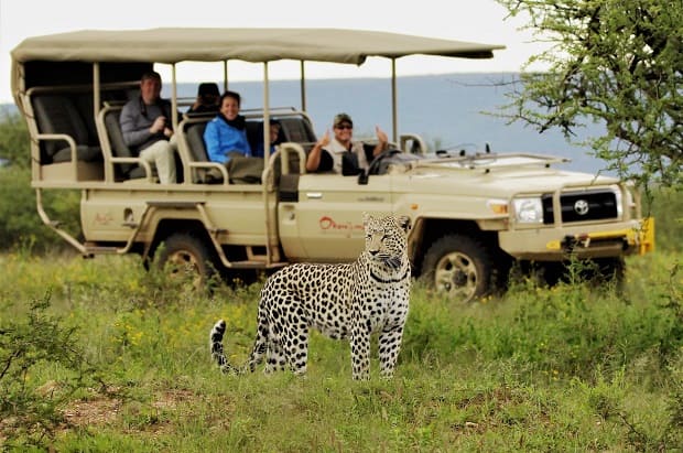 jungle jeep safari