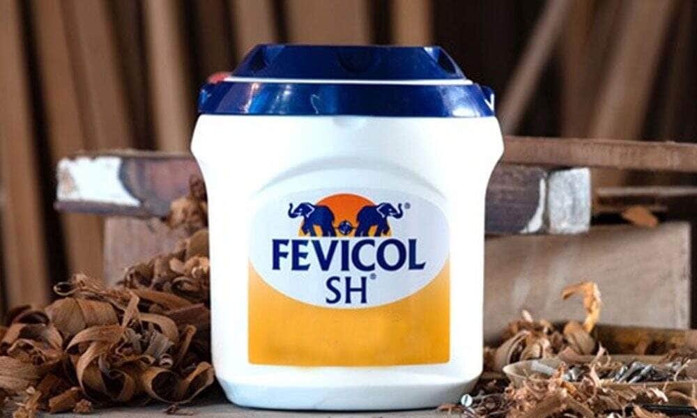Fevicol meaning