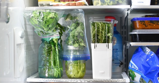 two-ways-to-keep-herbs-fresh-in-the-fridge-for-weeks-