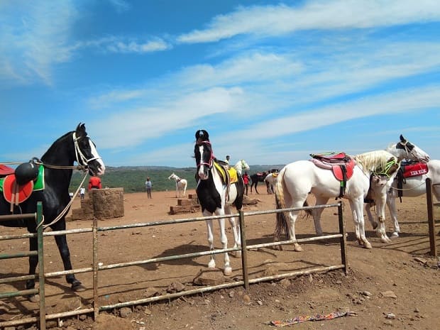 venna lake horse riding mahabaleshwar