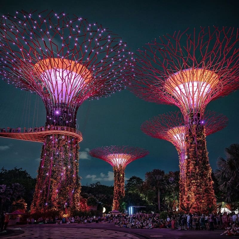 Singapore's Supertrees