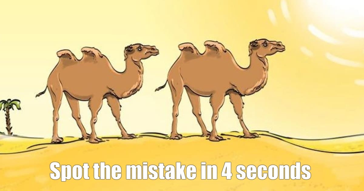 Spot the mistake - camel shadow