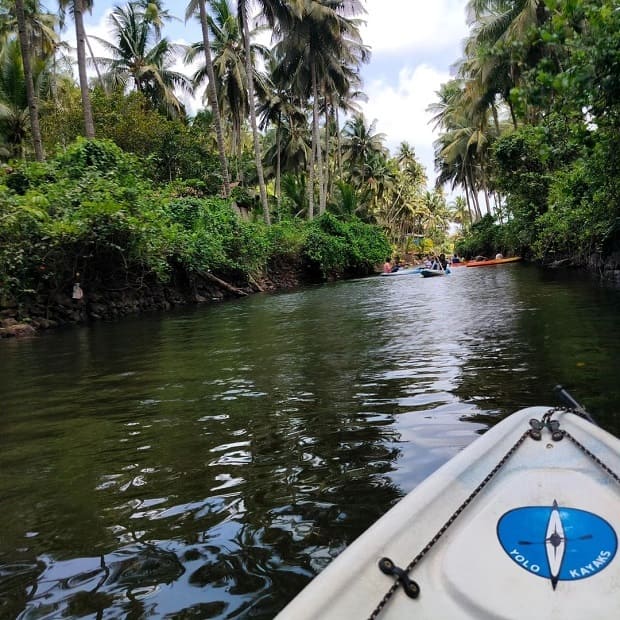 kayaking in cola beach