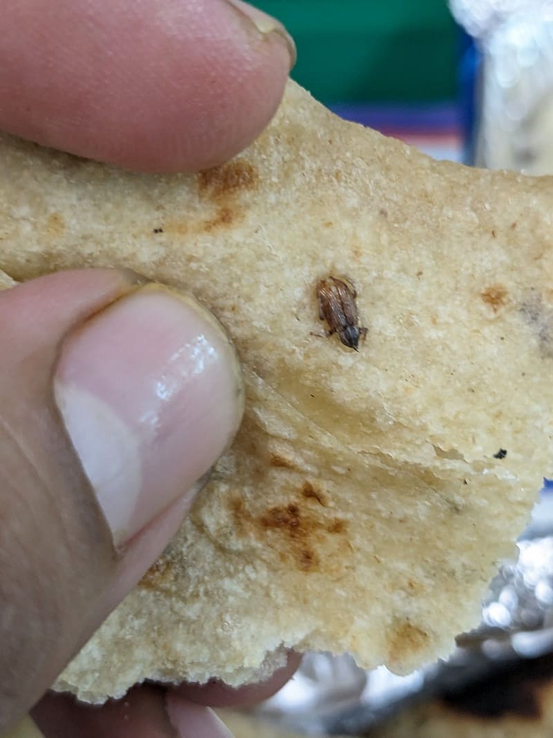 Cockroach Found in Vande Bharat food